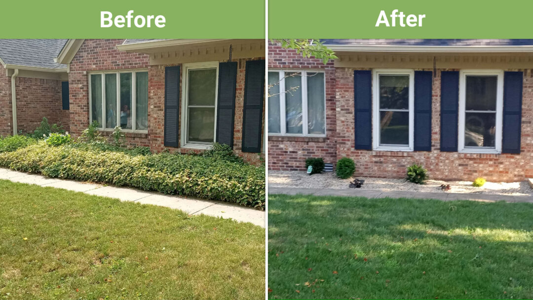 Landscaping Before & After #2